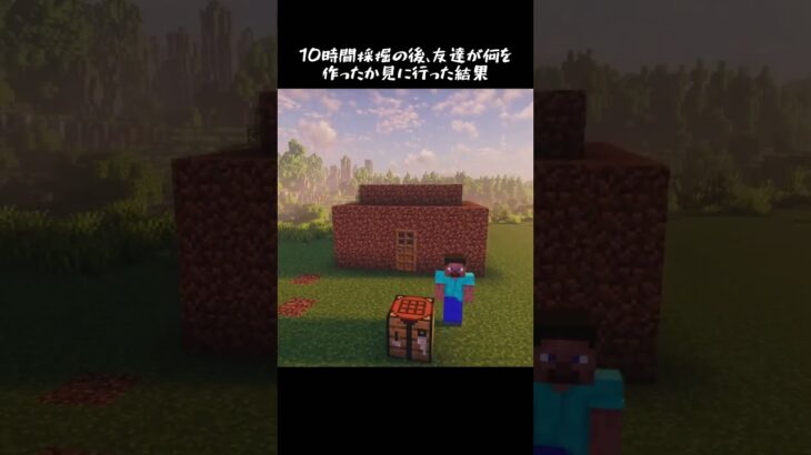 【マイクラ】10時間採掘の後友達が何を作ったか見に行った結果