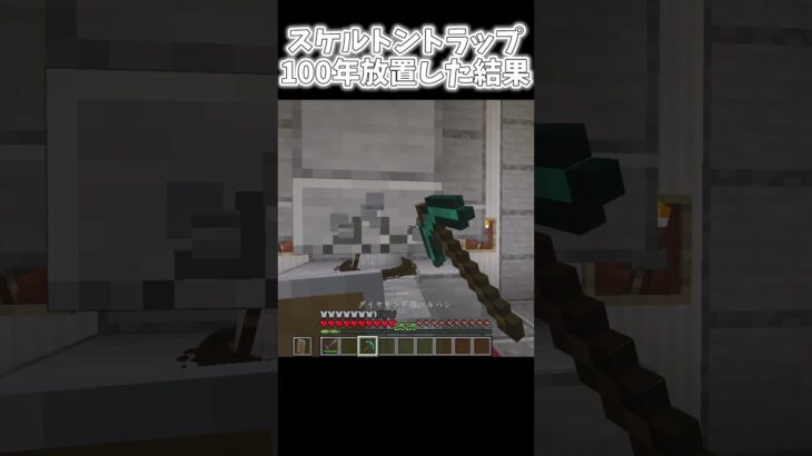 スケルトントラップを100年放置した結果… #マイクラ  #minecraft  # #マインクラフト
