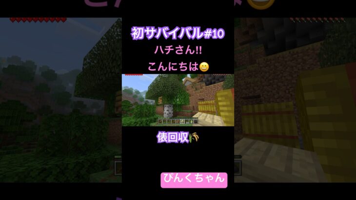 何かいる⁉️♯10#小学1年生 #minecraft #マイクラ #shorts #ショート #iphone #ゲーム実況