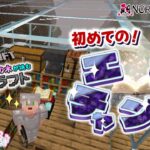 【マイクラ実況#12】いよいよエンチャント！幸運Ⅲのツルハシが欲しい！【新人VTuber】