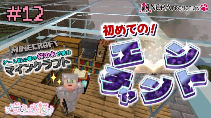 【マイクラ実況#12】いよいよエンチャント！幸運Ⅲのツルハシが欲しい！【新人VTuber】