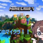 あゆ【マインクラフト】～17日目～　建築して遊ぶ