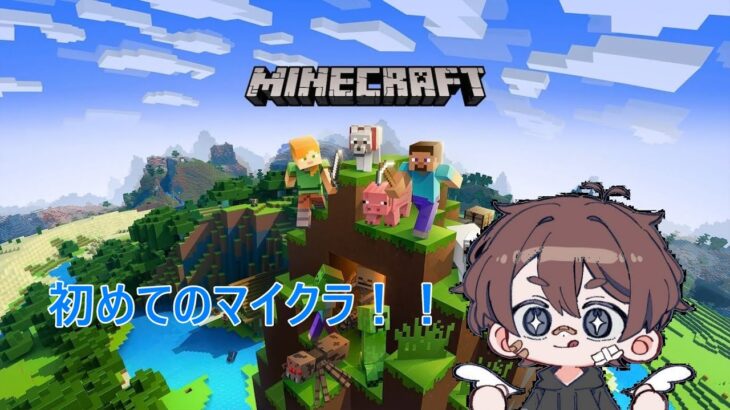 あゆ【マインクラフト】～17日目～　建築して遊ぶ