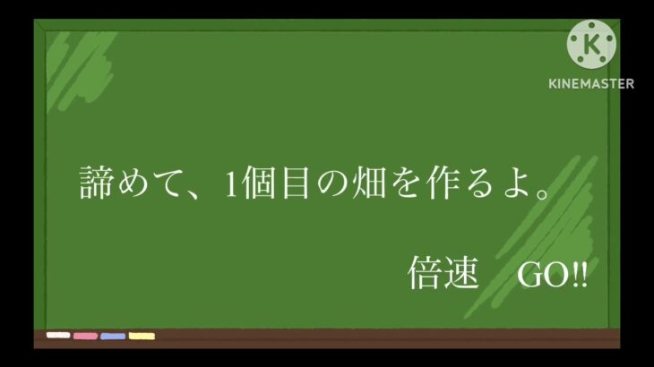 ［びりクラ］パート2   のんびりマインクラフト　家周りと村を手入れするぞぉぉ！　【1部汚い要素あり　食事中　音量注意】