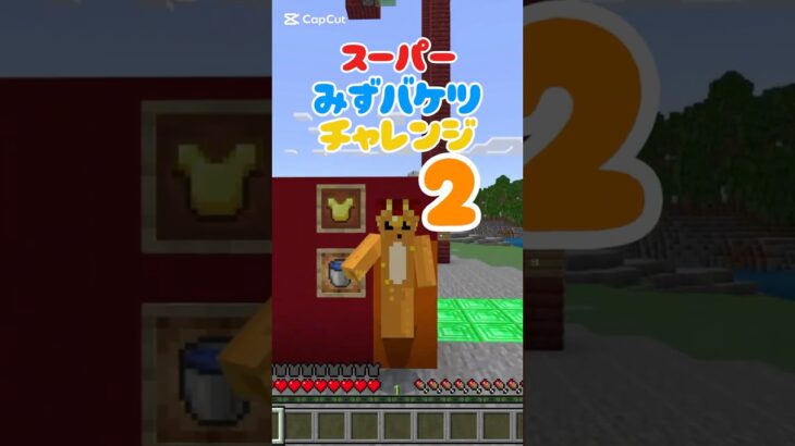 スーパー水バケツチャレンジ2 #マイクラ #minecraft #マインクラフト #水バケツ着地