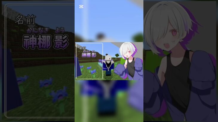 新人マイクラ実況グループ「たまゆらの家」2人目.ᐟ‪ #minecraft #ゲーム実況  #マインクラフト #マイクラ実況 #新人マイクラ実況グループ
