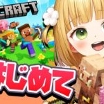 #20 はじめての「マイクラ」実況プレイ【Minecraft】