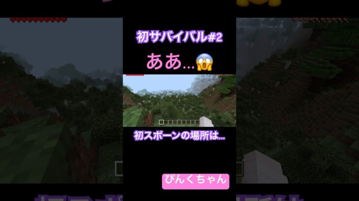 初スポーンはどこだ⁉️♯2#小学1年生 #minecraft #マイクラ #shorts #ショート #iphone #ゲーム実況