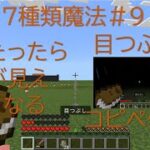コピーぺあり　マイクラ＃コマンド＃統合版＃マルチプレイ対応＃27種類魔法#9