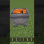 マイクラの謎2#Minecraft#マイクラ#マインクラフト#謎# shorts