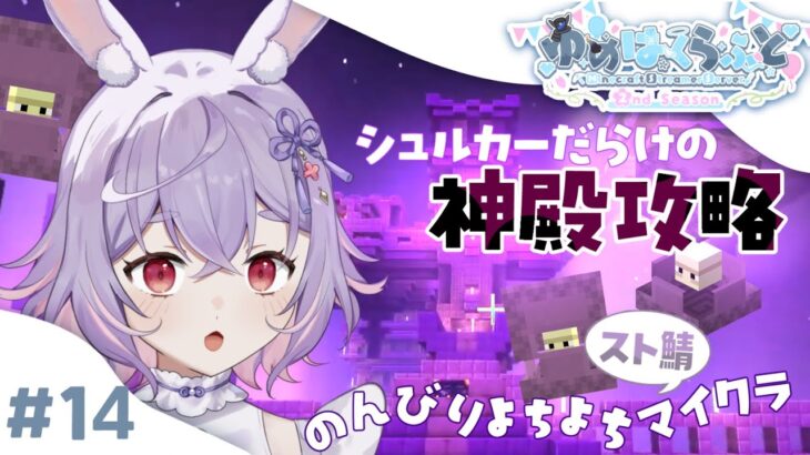 【 #マイクラ 】神殿の続き！シュルカーさんたちこんばんは ^^)   #ゆめはくらふと2nd【 #紫兎みさ / #新人vtuber 】