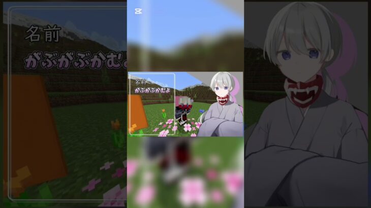 新人マイクラ実況グループ「たまゆらの家」3人目.ᐟ‪.ᐟ‪ #マイクラ #マインクラフト #minecraft #新人マイクラ実況グループ #ゲーム実況 #マイクラ切り抜き