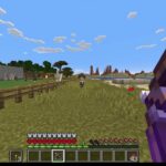 どうも、ハードコアエンドラを倒す人です。【ハードコアマイクラ】31日目
