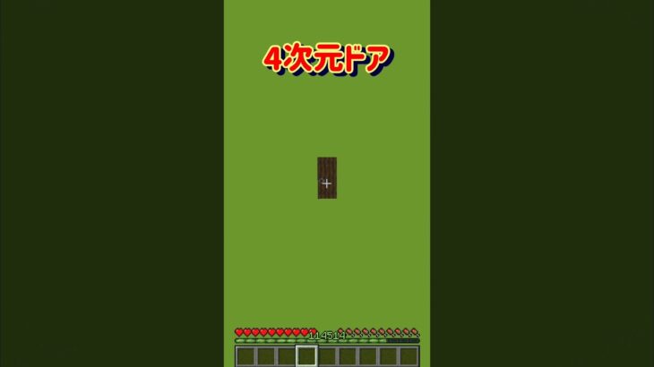 【4次元ドア】 #minecraft #マインクラフト #マイクラ #shorts