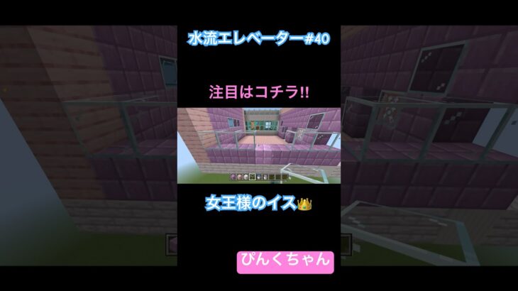 女王様のイス⁉️♯40 #小学1年生  #minecraft  #マイクラ  #shorts  #ショート  #iphone #ゲーム実況
