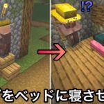 【マイクラ】誰も試さないので気づかれなかった隠し要素が.. 〜完全版ガチ勢でも全く知らない未知の小ネタ・検証46連発〜【まいくら】【マインクラフト】【コマンド】【雑学】【トリビア】
