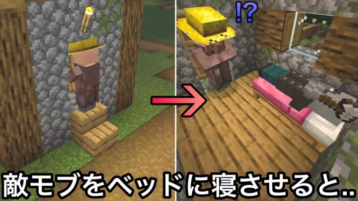 【マイクラ】誰も試さないので気づかれなかった隠し要素が.. 〜完全版ガチ勢でも全く知らない未知の小ネタ・検証46連発〜【まいくら】【マインクラフト】【コマンド】【雑学】【トリビア】