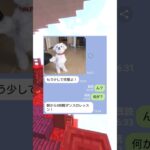 犬に”5時間ダンス特訓”した女の末路ｗｗ　#マイクラ #スカっと #shorts