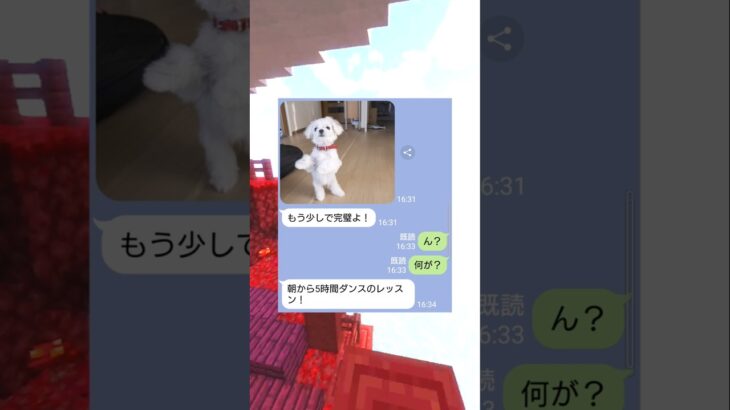 犬に”5時間ダンス特訓”した女の末路ｗｗ　#マイクラ #スカっと #shorts