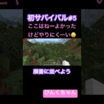 並べてみよう‼️♯5#小学1年生 #minecraft  #マイクラ  #shorts  #ショート  #iphone #ゲーム実況