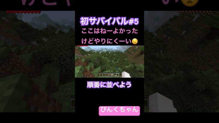 並べてみよう‼️♯5#小学1年生 #minecraft  #マイクラ  #shorts  #ショート  #iphone #ゲーム実況