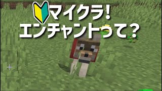 【夕方配信】マイクラ活動♪♪6日目🔰【ダイヤ探して、エンチャントテーブル作成！】【マインクラフト】