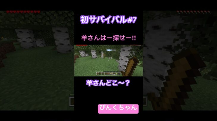 羊さんどこ〜⁉️♯7 #小学1年生  #minecraft  #マイクラ  #shorts  #ショート  #iphone #ゲーム実況