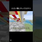 小さい頃にやってたやつパート8#マイクラ #minecraft #ジェットコースター #懐かしい #shorts
