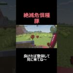 絶滅危惧種の豚【マイクラ AOA】#shorts  #マインクラフト