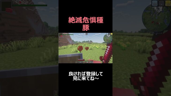 絶滅危惧種の豚【マイクラ AOA】#shorts  #マインクラフト