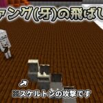 【コマンド】スケルトンがエヴォーカーファングを飛ばすコマンド！【マイクラBE】