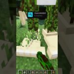Crazy Minecraft mods💀