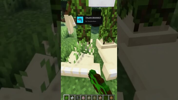 Crazy Minecraft mods💀