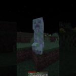 Despues de esto la vida no es igual #minecraft #minecraftshorts #humorviral #humor #bromas #troll