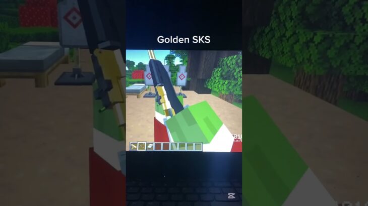 Golden loadout #minecraft #mod
