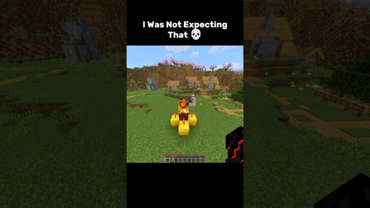 I Didn’t Expect That 💀☠️ #trending #minecraft #viralvideo #subscribe #shorts #gaming