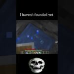 I just founded!!#minecraft #minecraftmemes #マイクラ #memes #secret