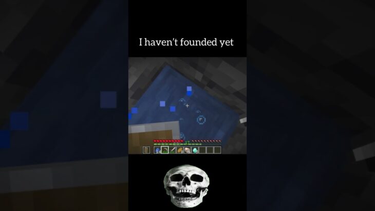 I just founded!!#minecraft #minecraftmemes #マイクラ #memes #secret