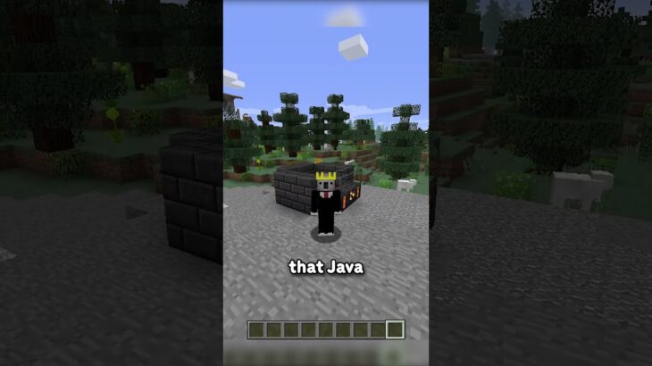 Java Mods MIGHT Be Coming To BEDROCK EDITION…