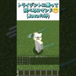 トライデントに乗って飛べるコマンド(Java版のみ)😁 #Shorts #マイクラ #マインクラフト #コマンド