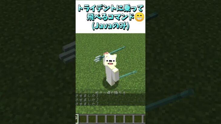 トライデントに乗って飛べるコマンド(Java版のみ)😁 #Shorts #マイクラ #マインクラフト #コマンド