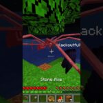 LA MOD DEI RAGNI su MINECRAFT è ASSURDA….