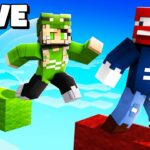 LIVE – MINECRAFT HELDEN mit BENX und ELINSKI