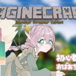 【MINECRAFT】マイクラ赤ちゃん家を建てる　3【新人VTuber/餅花うもう】#vtuber #さぎクラ