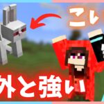 コマンド限定&名札限定のMOBを会おう！【マイクラ】#マイクラ実況 #ゲーム実況 #マインクラフト