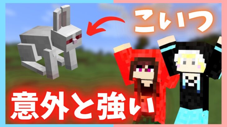 コマンド限定&名札限定のMOBを会おう！【マイクラ】#マイクラ実況 #ゲーム実況 #マインクラフト