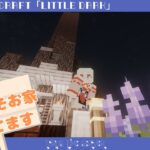 【MODマインクラフト】まじで今日こそ家を完成させるんだよ【波綾セナ】