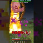 相当絶望だね？ 【MOD紹介】 #マイクラ #mod紹介 #minecraft