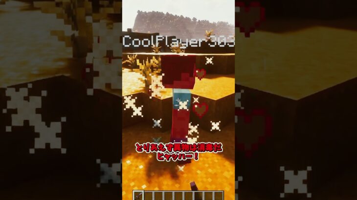異物は消毒だ！ 【MOD紹介】 #マイクラ #mod紹介 #minecraft