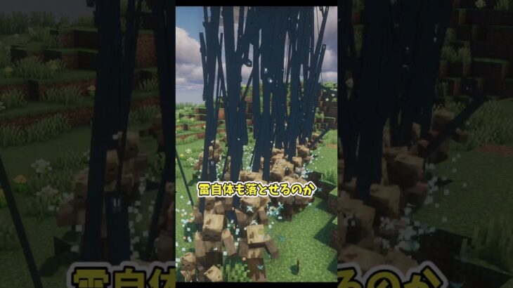 【MOD紹介】　「タイプ魔法2」　#マイクラ #マインクラフト #java #Minecraft